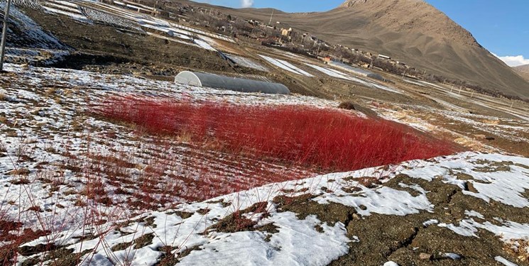 روستایی که با تحریم آمریکا به قطب گردشگری جهان تبدیل شد