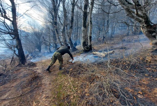 مهار آتش سوزی در جنگلهای 9 شهرستان گیلان