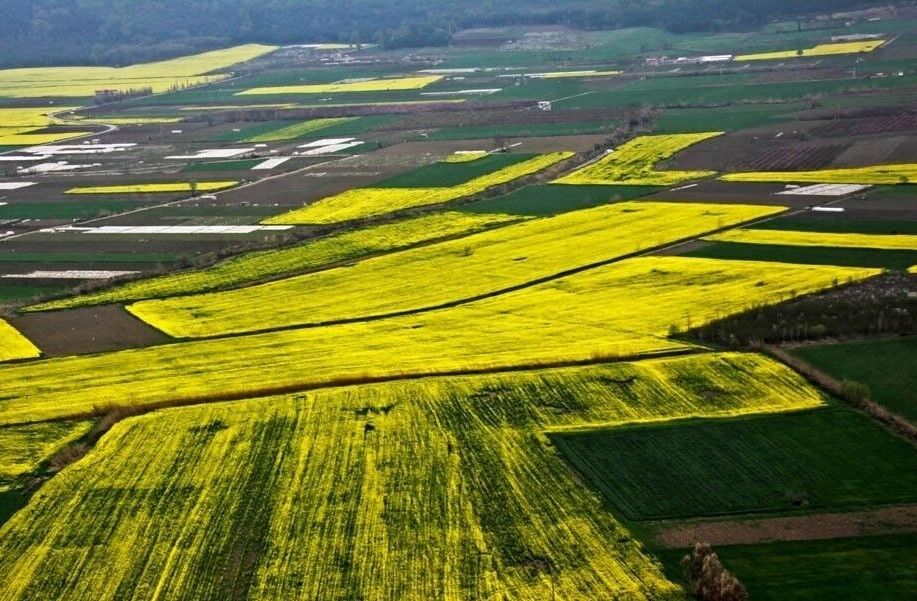 ۷۰ درصد موقوفه‌های سبزوار مستعد جهش تولید است