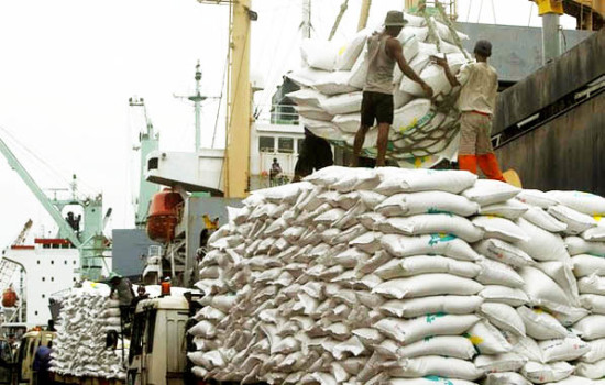 کشاورز: واردات برنج 48 درصد کاهش یافته است