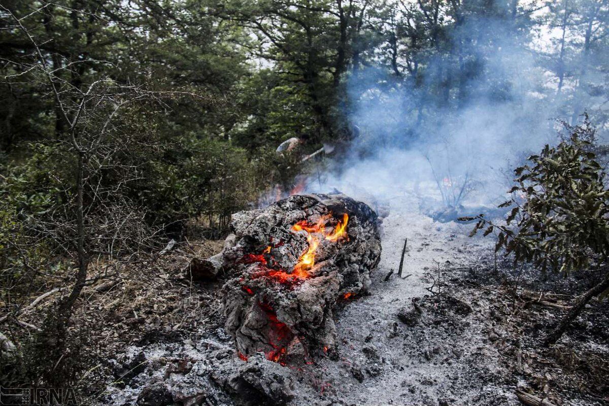جنگل شهرستان نکا در مازندران آتش گرفت