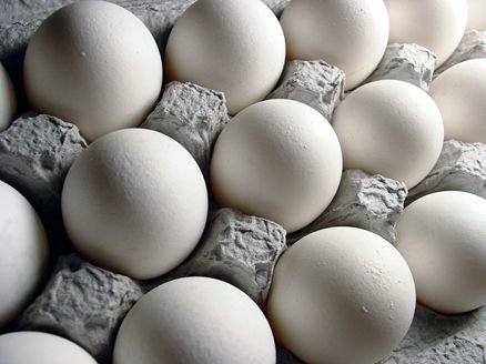 ضرر ۱۰ هزار تومانی مرغداران در فروش هر کیلو تخم مرغ