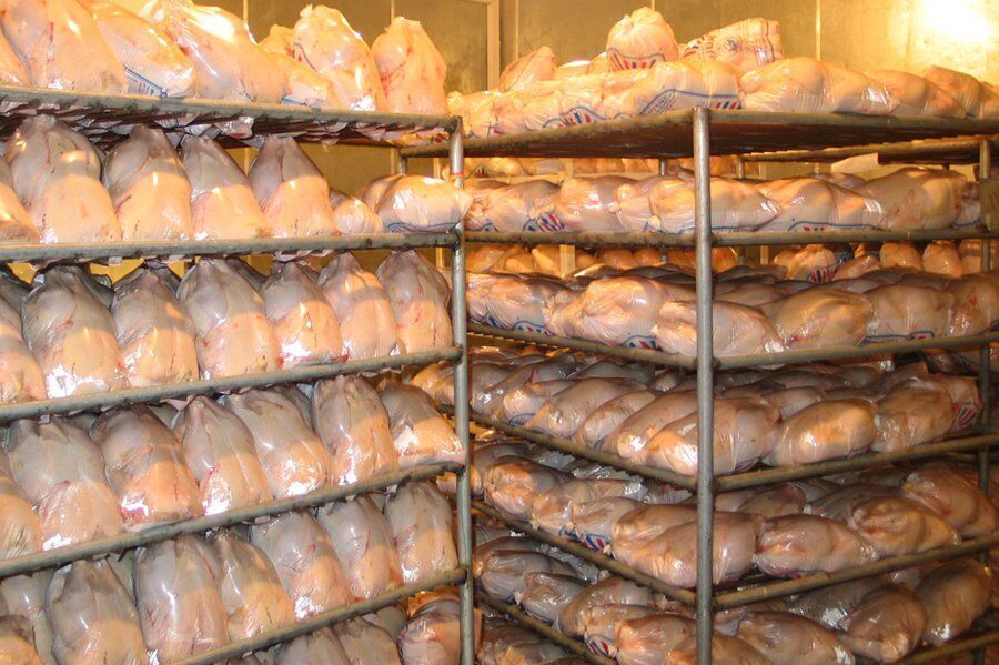 تولید ۱۷ هزار تن گوشت مرغ در سبزوار 