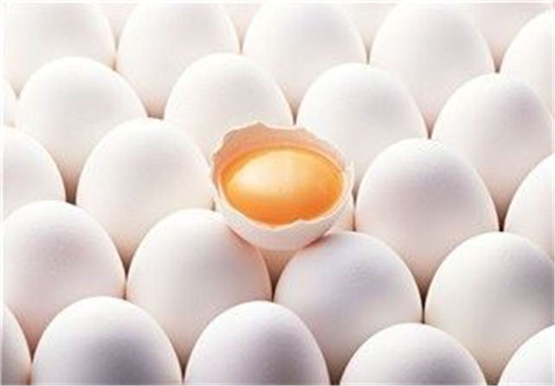کاهش شدید قیمت تخم مرغ درب مرغداری