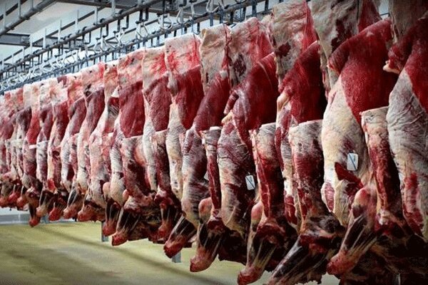 افزایش 19 درصدی تولید گوشت قرمز 