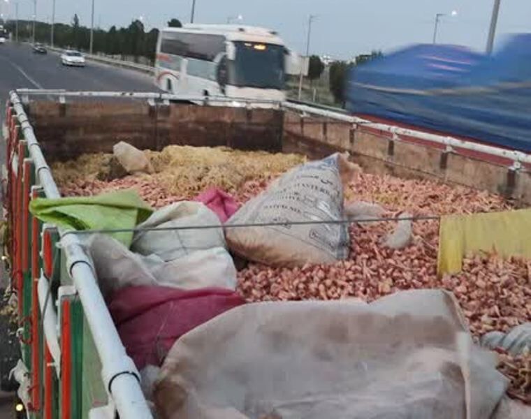 ۱۰ تن پای مرغ فاسد در سبزوار کشف شد