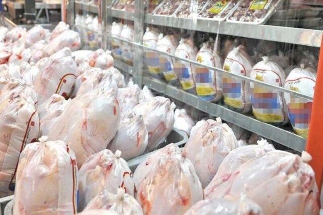 قیمت مرغ دوباره در حال افزایش است