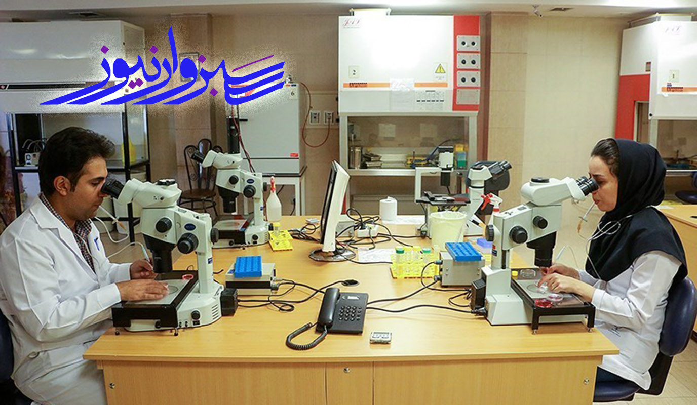 پژوهشگاه رویان: ایران رتبه یک منطقه در تولید علم در حوزه سلول‌ های بنیادی
