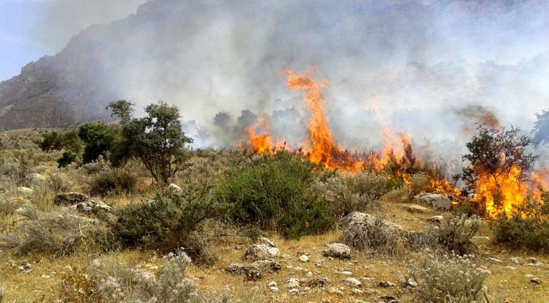وقوع ۲۸۲ مورد آتش‌سوزی جنگل در ۲۷ استان از ابتدای امسال