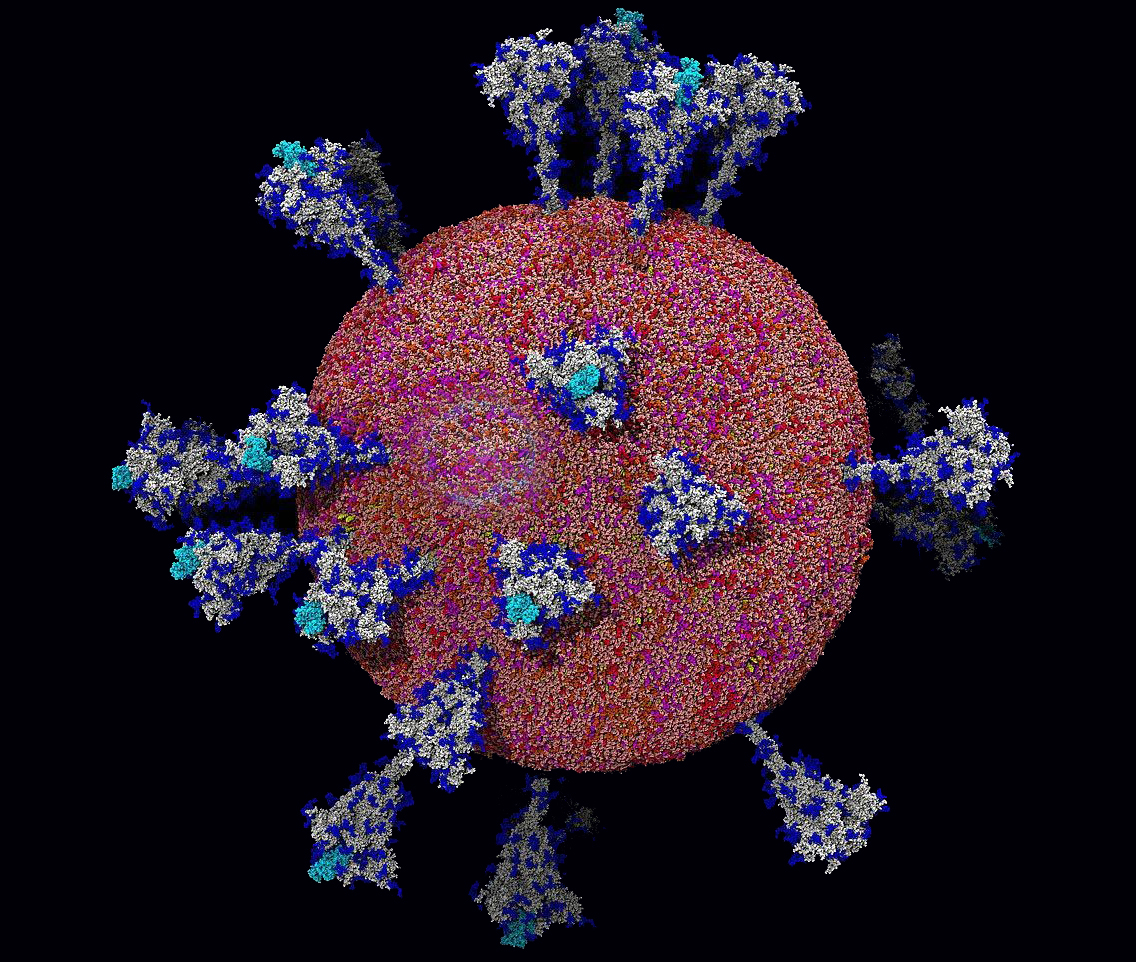 نخستین تصویر با وضوح بالا از ویروس کووید 19