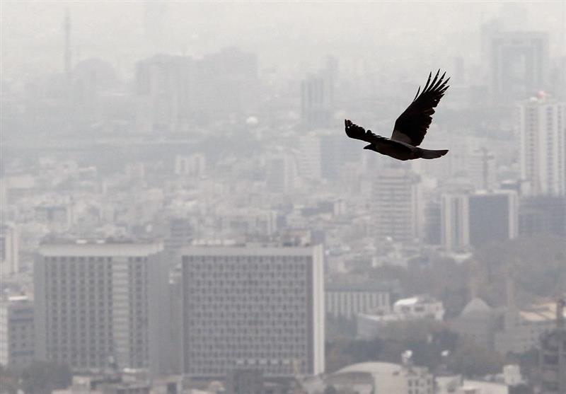 هشدار آلودگی ۵ روزه هوا در ۸ استان