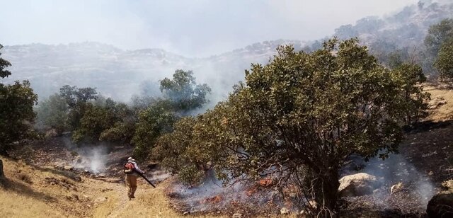 ۳ آتش سوزی در جنگل‌ها و مراتع شهرستان بویراحمد مهار شد