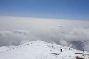 آمار دقیق حادثه ارتفاعات شمال تهران + اسامی کشته شدگان