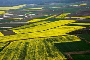 ۷۰ درصد موقوفه‌های سبزوار مستعد جهش تولید است