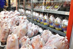 افزایش 20 درصدی تولید گوشت مرغ در سبزوار
