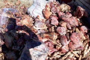 ۱۲ تن گوشت غیرقابل مصرف در سبزوار نابود شد
