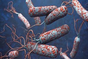 شناسایی ۳ بیمار مبتلا به وبا در خراسان رضوی
