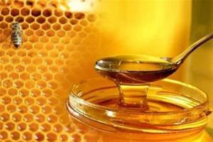 تاثیر عسل در بهبود سرفه های سرماخوردگی