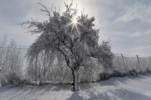 باران در اغلب مناطق کشور/ یخ‌بندان در 8 استان