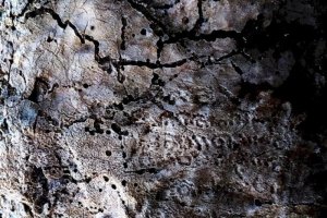کشف کتیبه‌ای حکاکی شده با نام زرتشت در شهرستان مرودشت