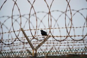 انتقال زندان سبزوار به خارج از شهر