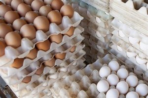 نرخ هر شانه تخم‌مرغ ۳۴ هزار تومان تعیین شده است
