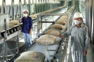 در تولید سیمان ایران رتبه هفتم دنیا را کسب کرد