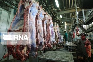 کاهش ۴۰ درصدی مصرف گوشت در کشور